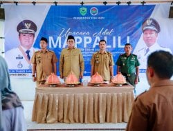 Mappalili di Nepo, Bupati Barru: Lestarikan Semangat Gotong Royong