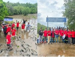 Penanaman Mangrove Bermanfaat untuk Lingkungan, Tingkatkan Kualitas Ekosistem Laut dan Keamanan Pesisir