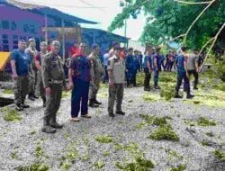 Pembersihan dan Penebangan Pohon di Kompleks SKPD Dipimpin Langsung Kasatpol PP dan Damkar Sidrap