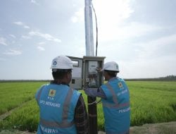 Dukung Tranformasi Pertanian Modern, Electrifying Agriculture PLN Raih 53.539 Pelanggan Baru di Tahun 2024