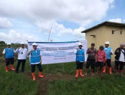 Sukseskan Program Ketahanan Pangan, Listrik PLN Mampu Tekan Biaya Operasional Petani di Sulawesi hingga 75 Persen
